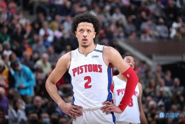 灰熊的外线 灰熊的外线